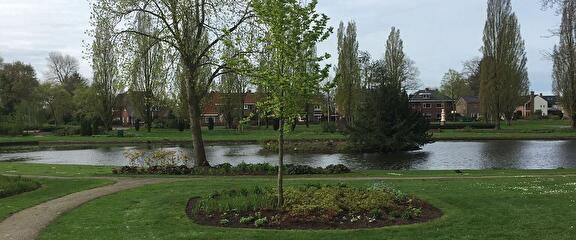 Aanleg en onderhoud van (grootschalig) groen
