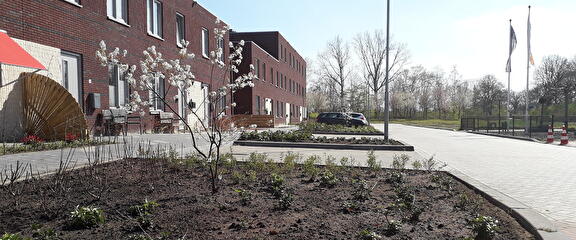 Gemeente Eemsdelta - beplanting en bomen - schrijversbuurt - delfzijl